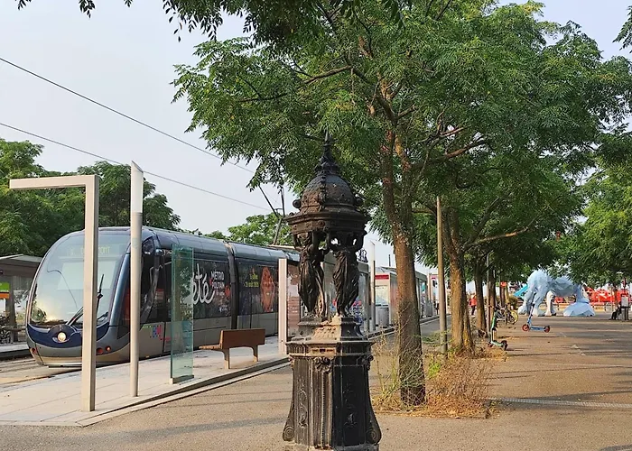Bright And Warm In Apartment Bordeaux